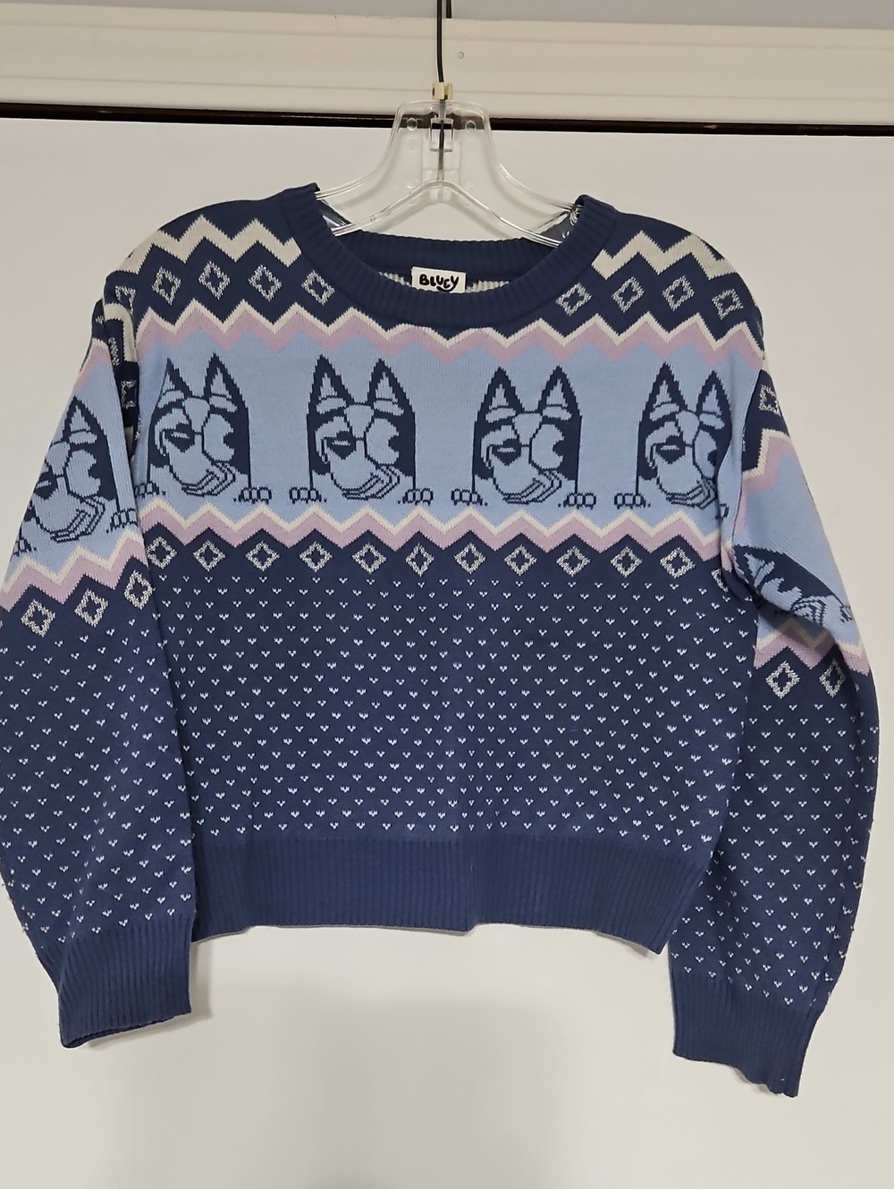Girls Bluey Sweater Size 10/12